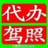 路政機(jī)動(dòng)車(chē)駕駛員培訓(xùn)基地 專(zhuān)業(yè)駕駛技能與安全意識(shí)的搖籃